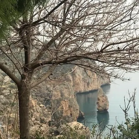 Sea Paradise